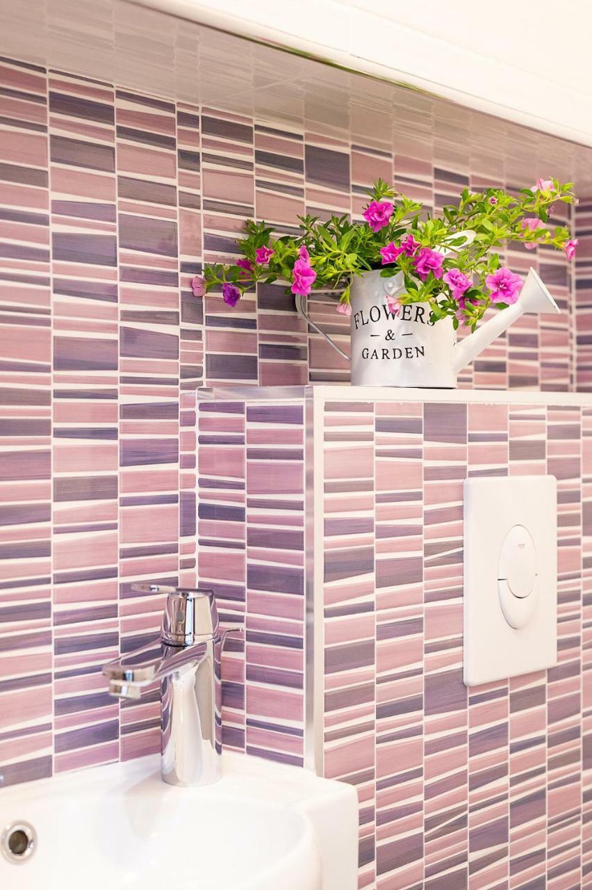 Apartment Auretta Novigrad Istria 외부 사진