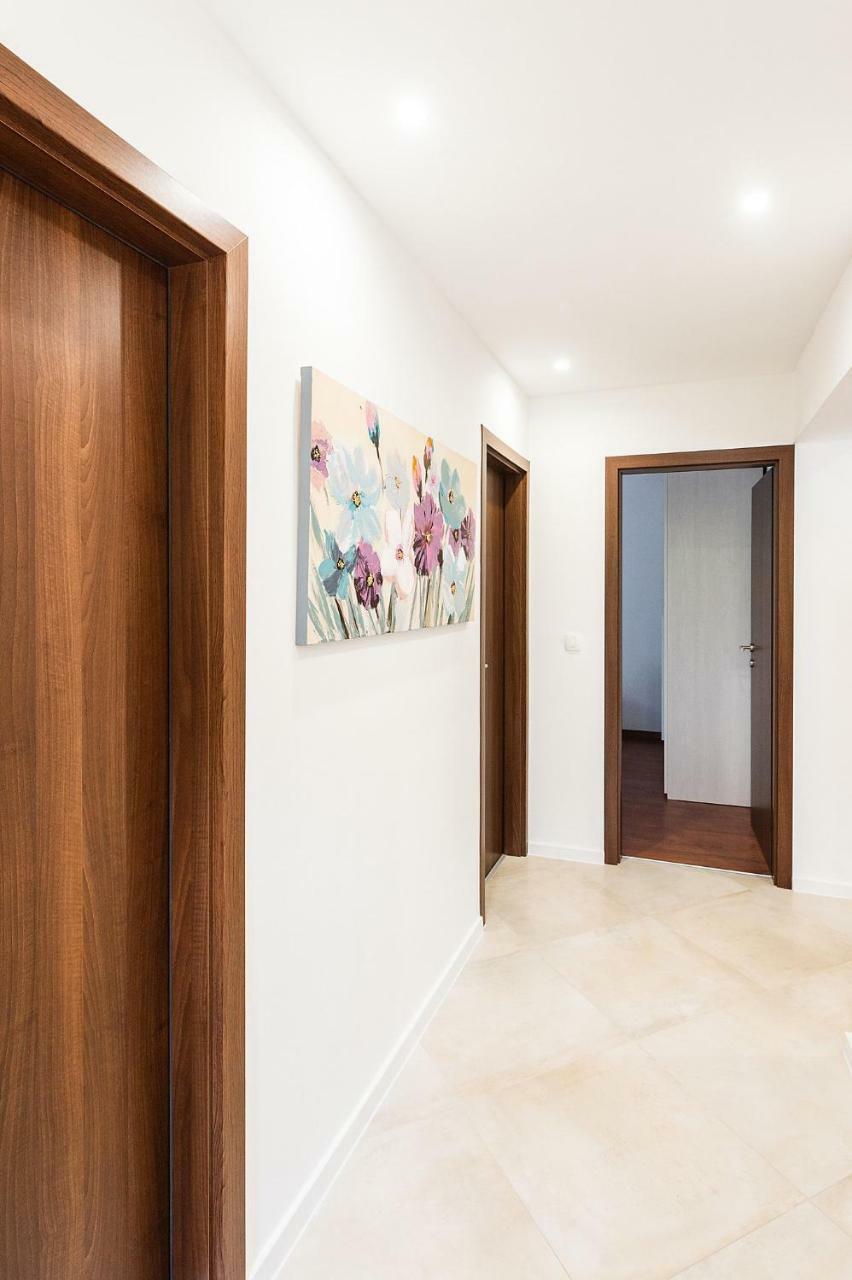 Apartment Auretta Novigrad Istria 외부 사진